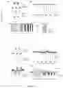 Fig. 16 - OPTOGENETICALLY TRANSFORMED PHOTORECEPTOR PRECURSOR CELLS FOR THE USE IN THE TREATMENT OF RETINAL DEGENERATIVE DISEASES