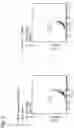Fig. 05 - Cell population comprising adherent cells derived from fetal appendage, method for producing the same, and pharmaceutical composition