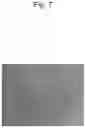 Fig. 08 - Cell population comprising adherent cells derived from fetal appendage, method for producing the same, and pharmaceutical composition