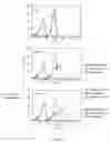 Fig. 07 - Gamma delta T cells and a method of augmenting the tumoricidal activity of the same