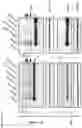 Fig. 07 - Natural killer cells