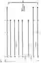 Fig. 30 - Natural killer cells