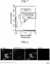 Fig. 02 - METHOD FOR PRODUCING MYOCARDIAL STEM CELL USED FOR TREATMENT AND/OR PREVENTION OF CARDIAC ARREST