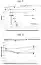 Fig. 05 - METHOD FOR PRODUCING MYOCARDIAL STEM CELL USED FOR TREATMENT AND/OR PREVENTION OF CARDIAC ARREST