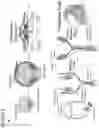 Fig. 02 - Methods and compositions for production of fallopian tube epithelium