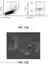 Fig. 19 - Systems and methods for producing stem cells and differentiated cells