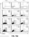 Fig. 20 - Systems and methods for producing stem cells and differentiated cells