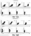 Fig. 28 - Systems and methods for producing stem cells and differentiated cells