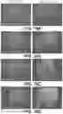 Fig. 29 - Systems and methods for producing stem cells and differentiated cells
