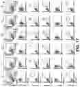 Fig. 32 - Systems and methods for producing stem cells and differentiated cells