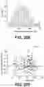 Fig. 41 - Systems and methods for producing stem cells and differentiated cells