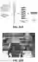 Fig. 48 - Systems and methods for producing stem cells and differentiated cells