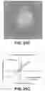 Fig. 59 - Systems and methods for producing stem cells and differentiated cells