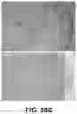 Fig. 64 - Systems and methods for producing stem cells and differentiated cells
