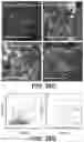 Fig. 65 - Systems and methods for producing stem cells and differentiated cells