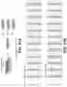 Fig. 70 - Systems and methods for producing stem cells and differentiated cells