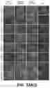 Fig. 74 - Systems and methods for producing stem cells and differentiated cells