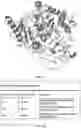 Fig. 02 - Reduced immunogenic proteins for lysosomal storage disorders