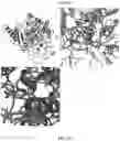 Fig. 05 - Reduced immunogenic proteins for lysosomal storage disorders