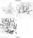 Fig. 12 - Reduced immunogenic proteins for lysosomal storage disorders