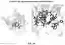 Fig. 15 - Reduced immunogenic proteins for lysosomal storage disorders