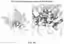 Fig. 19 - Reduced immunogenic proteins for lysosomal storage disorders