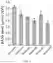 Fig. 02 - Recombinant strain of 