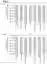 Fig. 03 - NUCLEIC ACID EXTRACTION METHOD AND KIT USING SAME