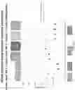 Fig. 122 - Methods for isolating microvesicles and extracting nucleic acids from biological samples