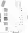 Fig. 128 - Methods for isolating microvesicles and extracting nucleic acids from biological samples