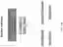 Fig. 150 - Methods for isolating microvesicles and extracting nucleic acids from biological samples