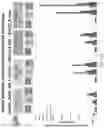 Fig. 153 - Methods for isolating microvesicles and extracting nucleic acids from biological samples
