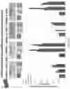 Fig. 154 - Methods for isolating microvesicles and extracting nucleic acids from biological samples