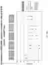 Fig. 166 - Methods for isolating microvesicles and extracting nucleic acids from biological samples