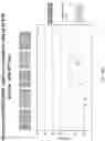 Fig. 167 - Methods for isolating microvesicles and extracting nucleic acids from biological samples
