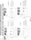 Fig. 177 - Methods for isolating microvesicles and extracting nucleic acids from biological samples