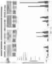 Fig. 178 - Methods for isolating microvesicles and extracting nucleic acids from biological samples
