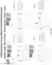 Fig. 185 - Methods for isolating microvesicles and extracting nucleic acids from biological samples