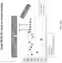 Fig. 194 - Methods for isolating microvesicles and extracting nucleic acids from biological samples