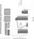 Fig. 203 - Methods for isolating microvesicles and extracting nucleic acids from biological samples