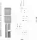 Fig. 205 - Methods for isolating microvesicles and extracting nucleic acids from biological samples