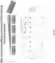 Fig. 30 - Methods for isolating microvesicles and extracting nucleic acids from biological samples