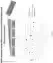 Fig. 31 - Methods for isolating microvesicles and extracting nucleic acids from biological samples
