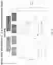 Fig. 76 - Methods for isolating microvesicles and extracting nucleic acids from biological samples