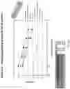 Fig. 94 - Methods for isolating microvesicles and extracting nucleic acids from biological samples