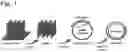 Fig. 02 - Methods of utilizing recombination for the identification of binding moieties
