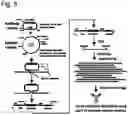 Fig. 06 - Methods of utilizing recombination for the identification of binding moieties