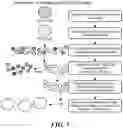 Fig. 02 - METHODS FOR INCREASING THE DIVERSITY OF MONOCLONAL ANTIBODIES PRODUCED AGAINST AN ANTIGEN