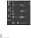 Fig. 04 - Directed evolution of enzymes by plasmid tagging in droplets