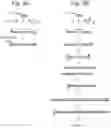 Fig. 04 - Methods and polynucleotides for amplifying a target polynucleotide